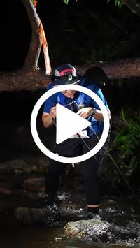 BIB:  <button type="button" onclick="openModal(27509533)" class="btn btn-primary btn-sm float-right" data-toggle="modal" data-target=".modal-high-quality">
                <i class="fa fa-download"></i> Download
                </button>